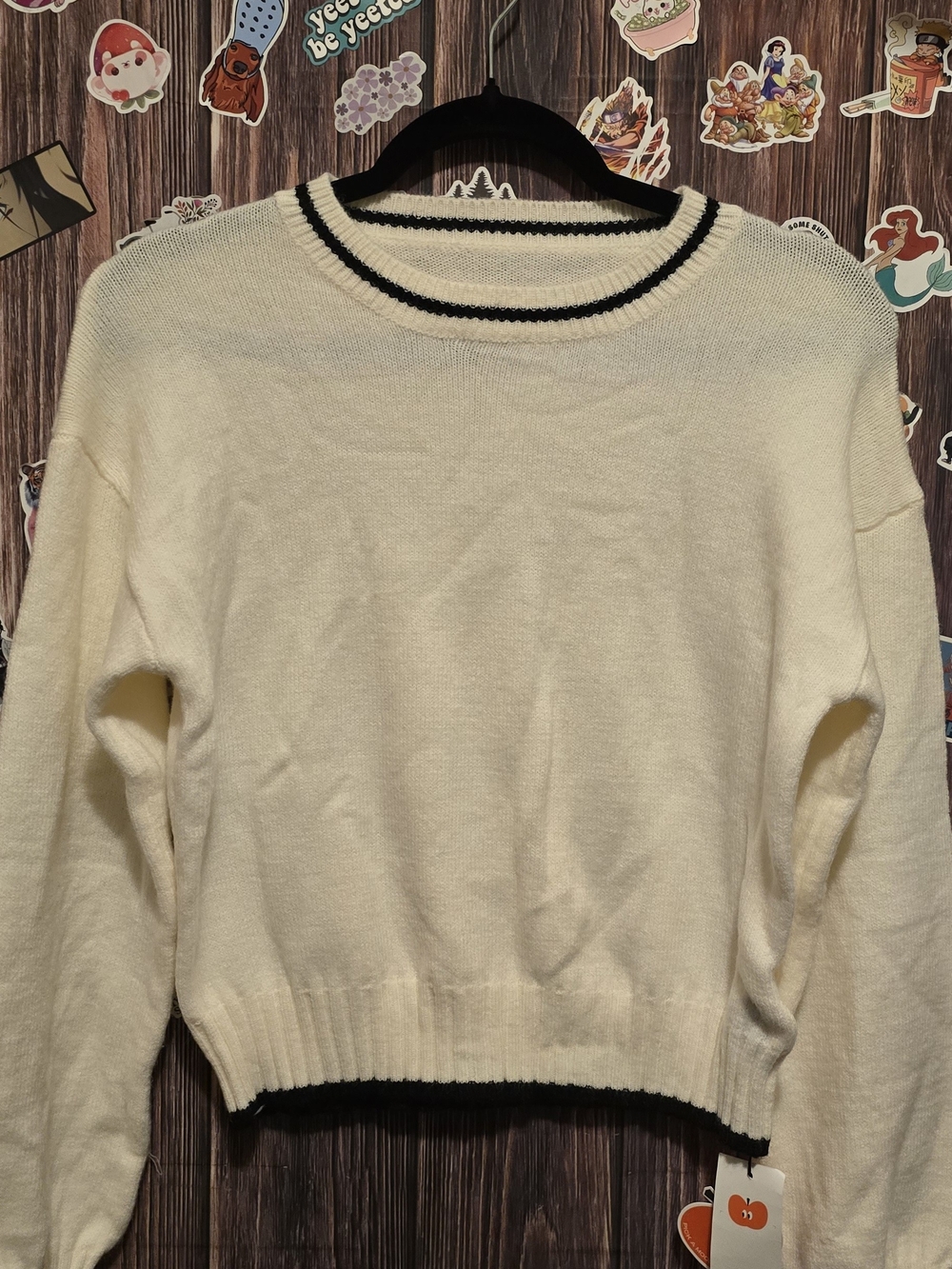 Cider Cream Crewneck Sweater with Black Trim - Women's